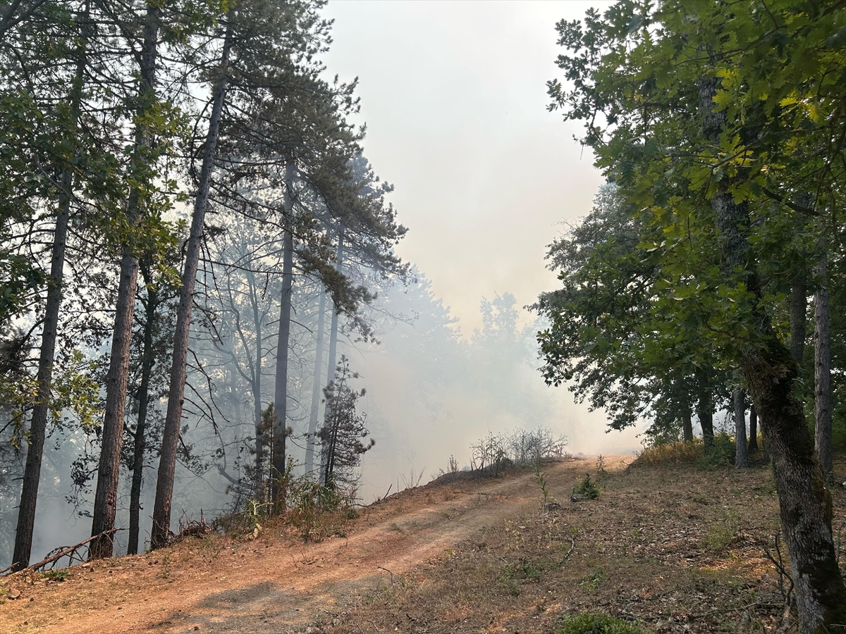 Bursa'nın Mustafakemalpaşa ilçesinde çıkan orman yangınına ilişkin 1 şüpheli tutuklandı
