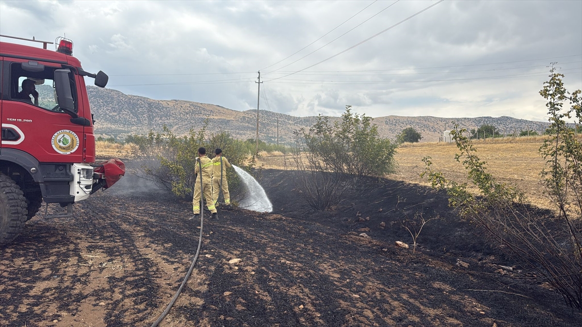 Diyarbakır'ın 3 ilçesinde ormanlık ve tarım alanlarında çıkan yangınlar söndürüldü
