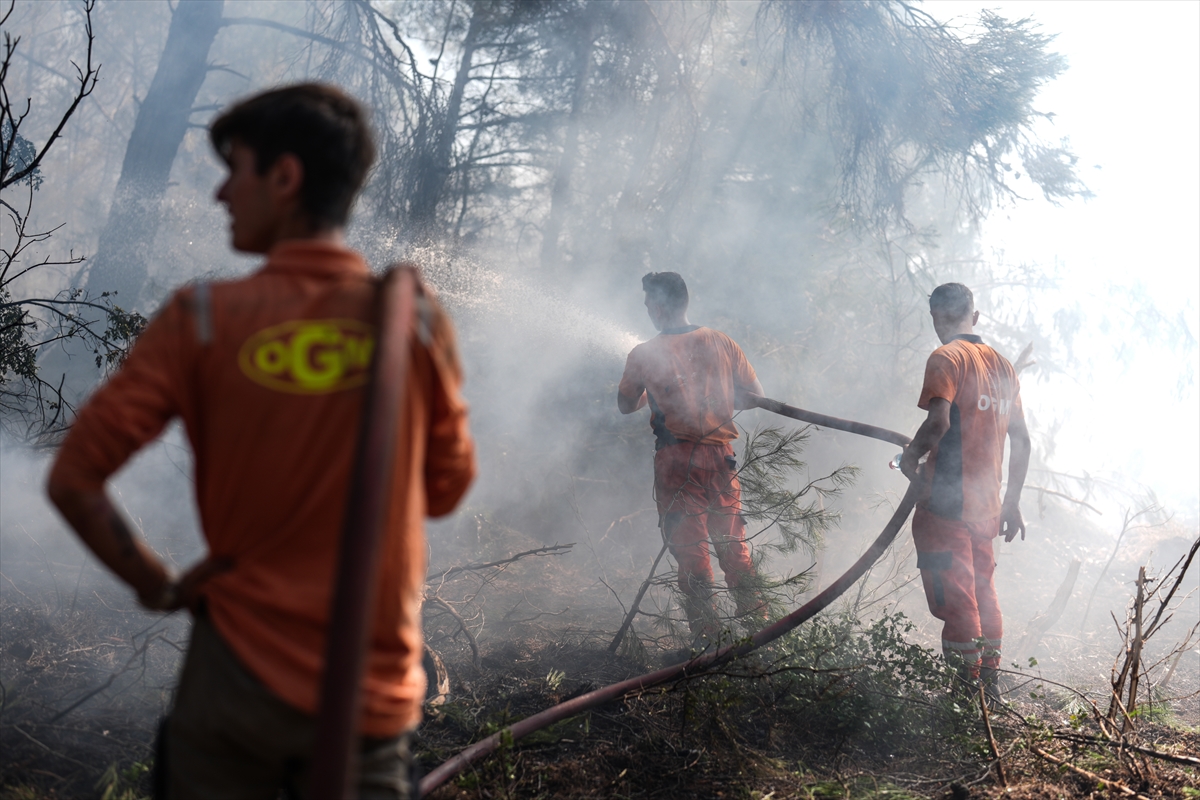 İzmir'in Buca ilçesinde inşaatta demir keserken orman yangınına neden olan kişi tutuklandı