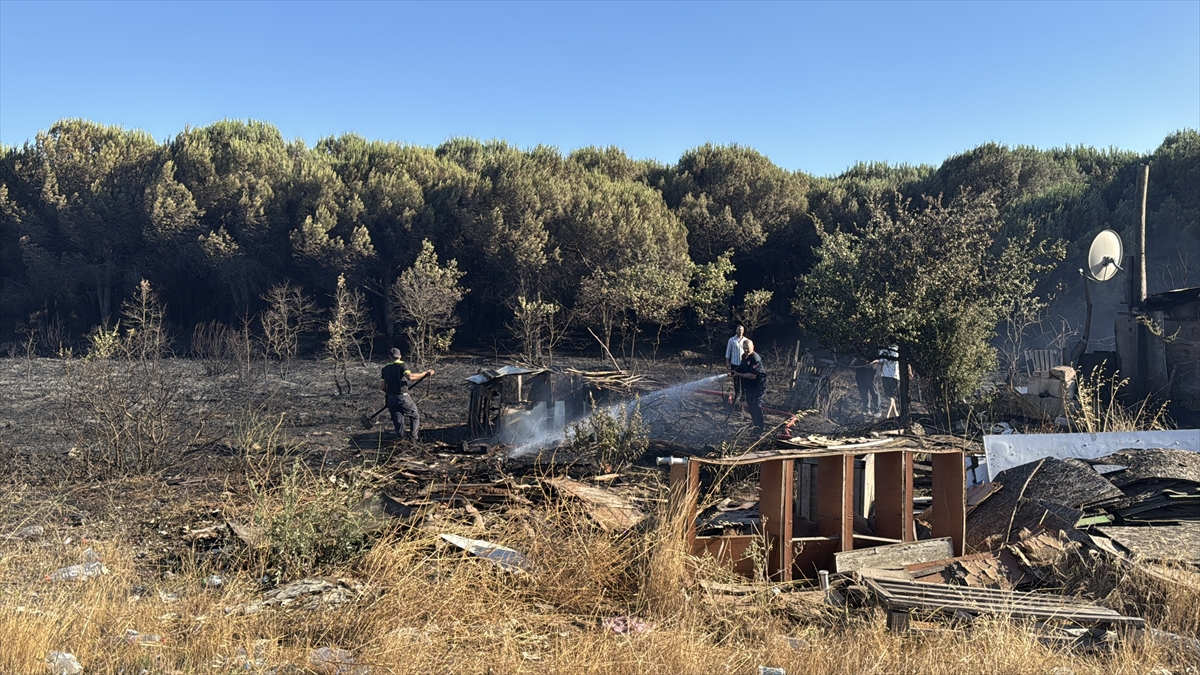 Tuzla'da otluk alanda çıkan yangın söndürüldü