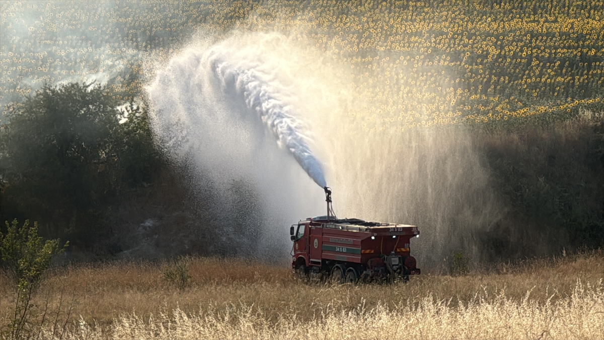 Edirne'de buğday tarlasında çıkan yangın söndürüldü