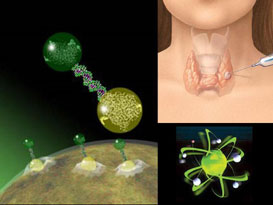 9p21 kanser riskini artırıyor