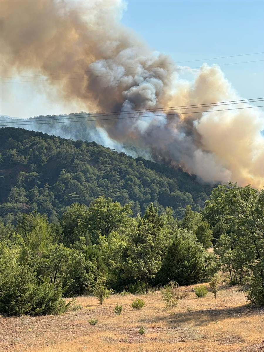 Göynük’de çıkan orman yangını kontrol altına alındı