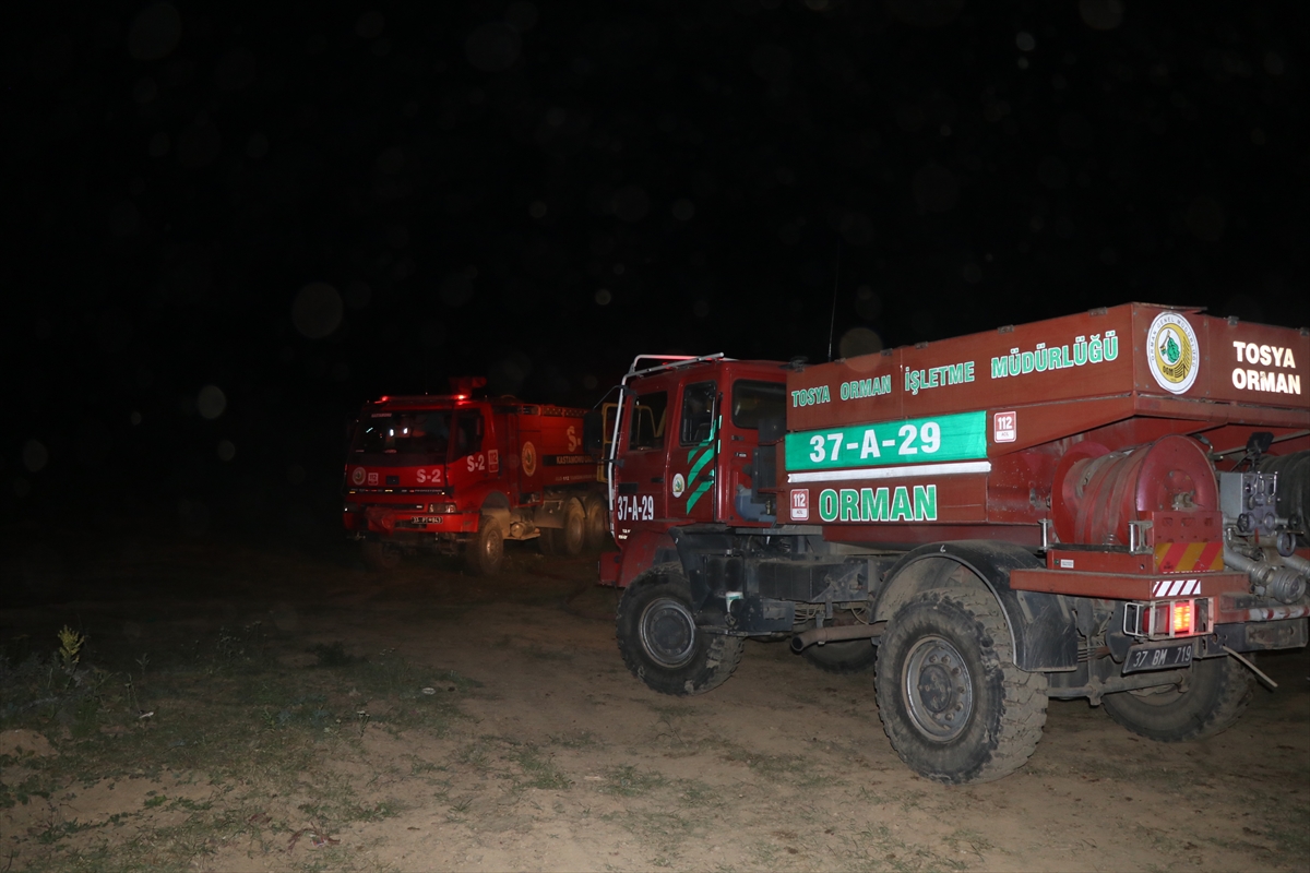 Çankırı'nın Ilgaz ilçesinde ormanlık alanda çıkan yangın kontrol altına alındı