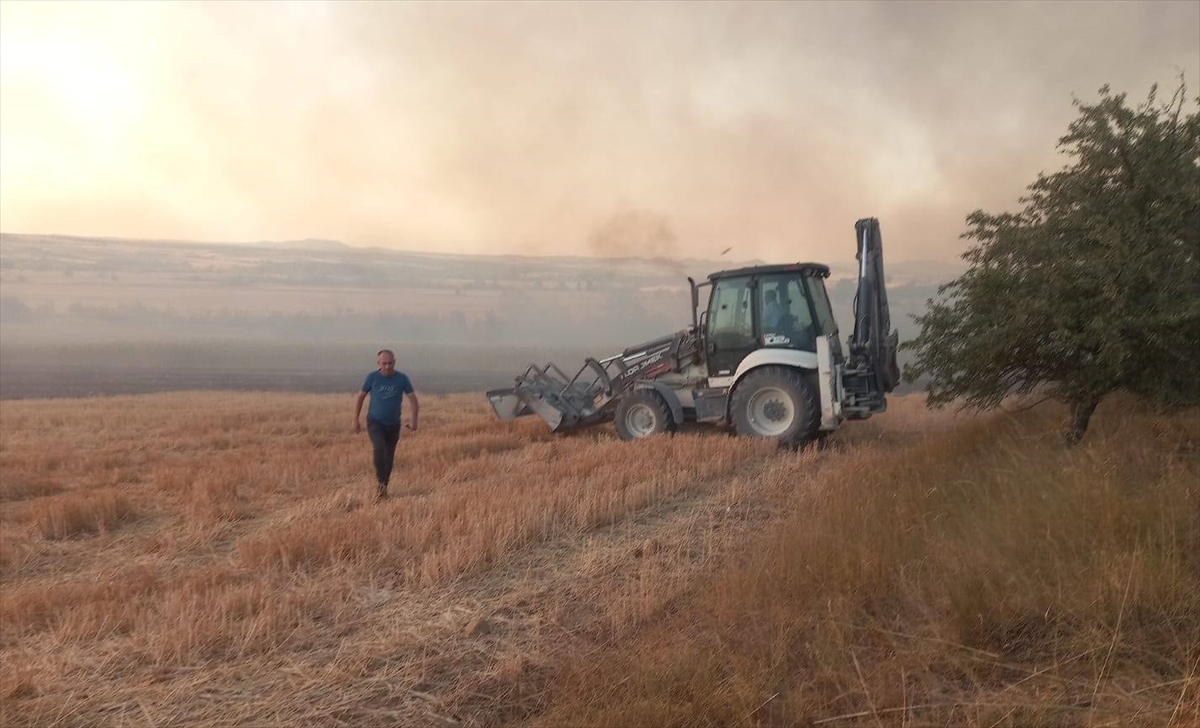 Kırklareli'nde tarım arazisinden ağaçlık alana sıçrayan yangın söndürüldü