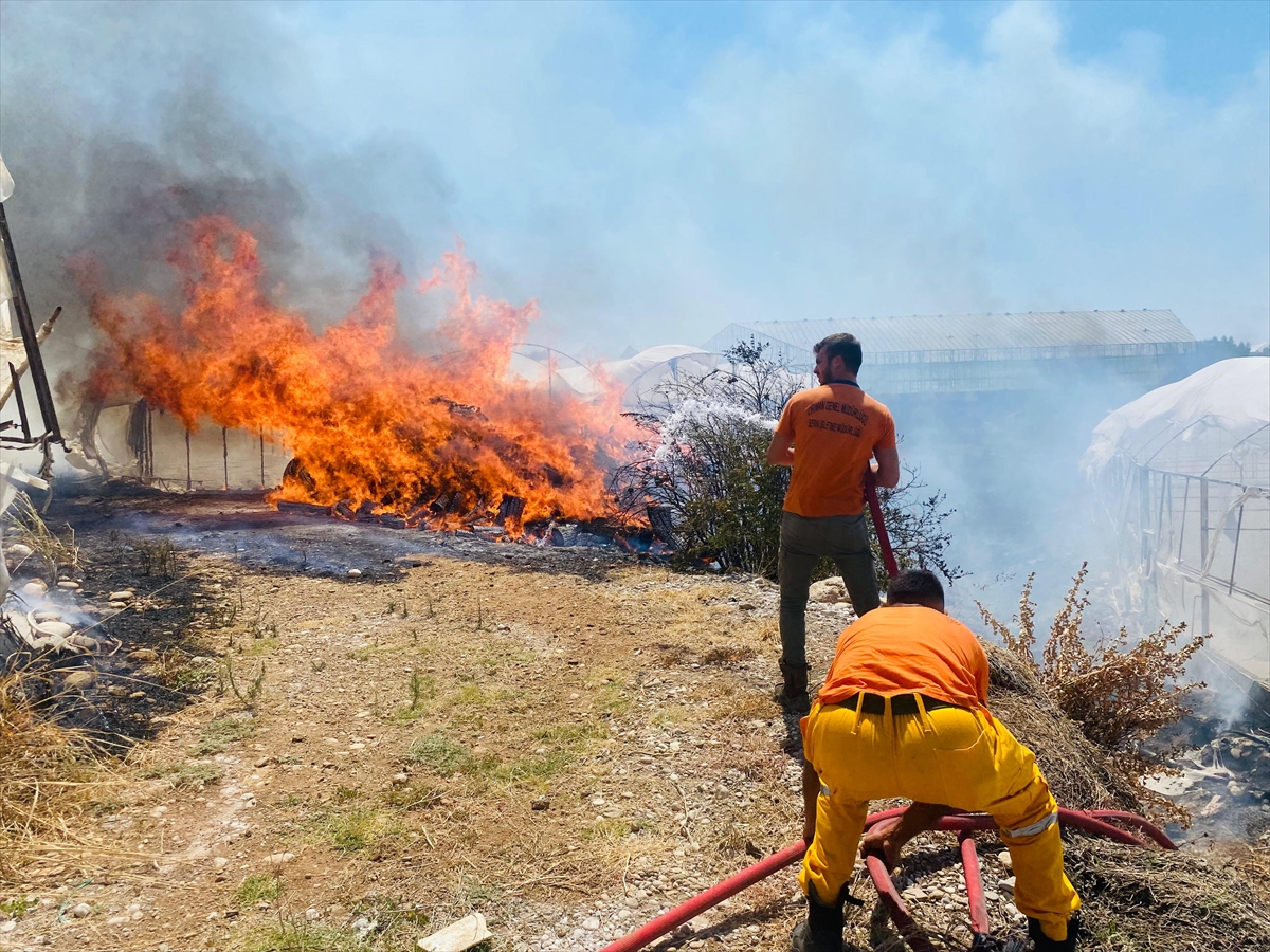 Serik'de çalılık alanda başlayıp seralara sıçrayan yangın söndürüldü