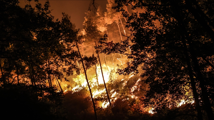 Suriye, Lazkiye kırsalındaki yangınlar için AB'den destek talep etti