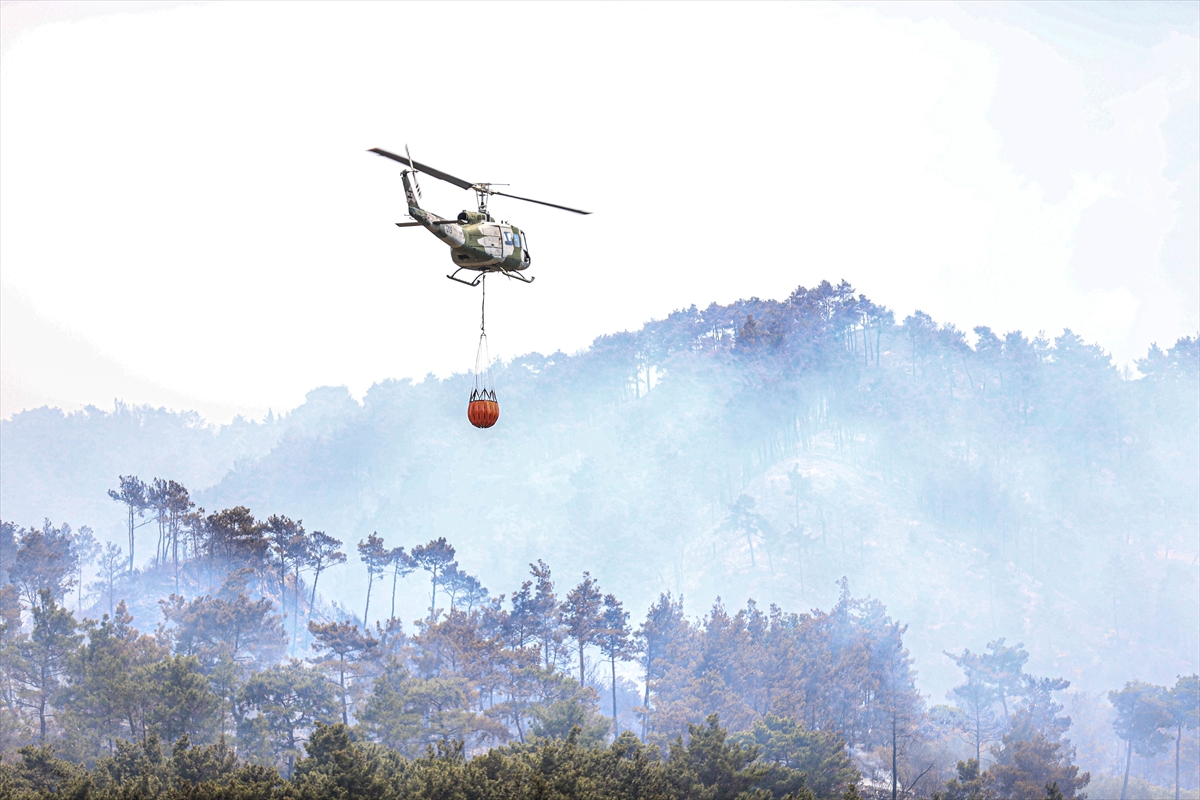 Suriye'de orman yangınlarıyla bağlantılı olduğu değerlendirilen şüpheliler gözaltına alındı