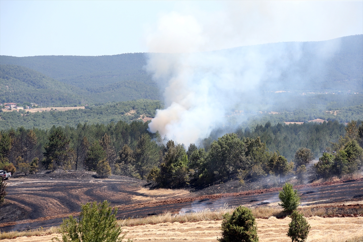 Kastamonu'da tarım arazisinde başlayan yangın ormana sıçradı
