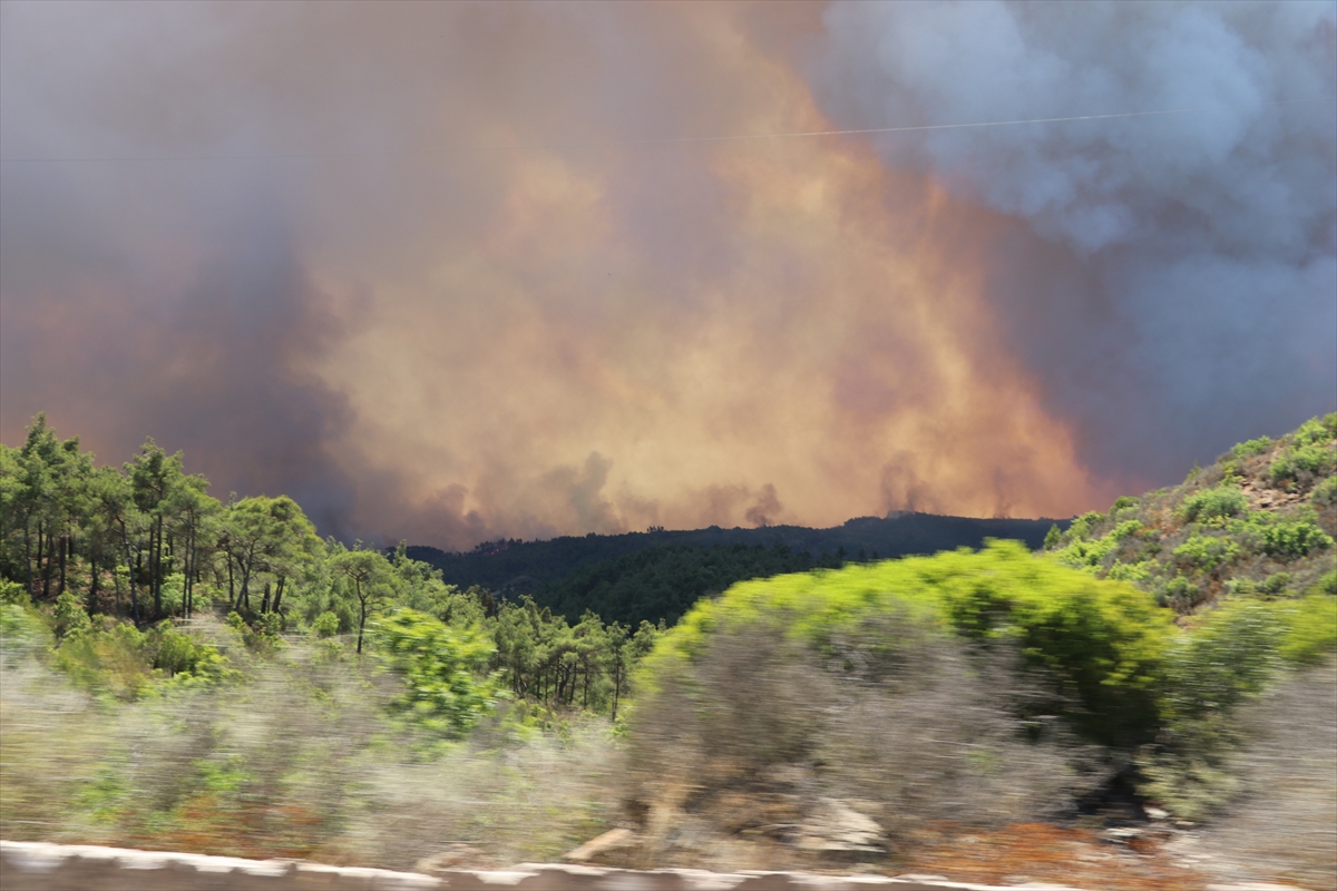 Lazkiye'de orman yangınları 7 gündür sürüyor