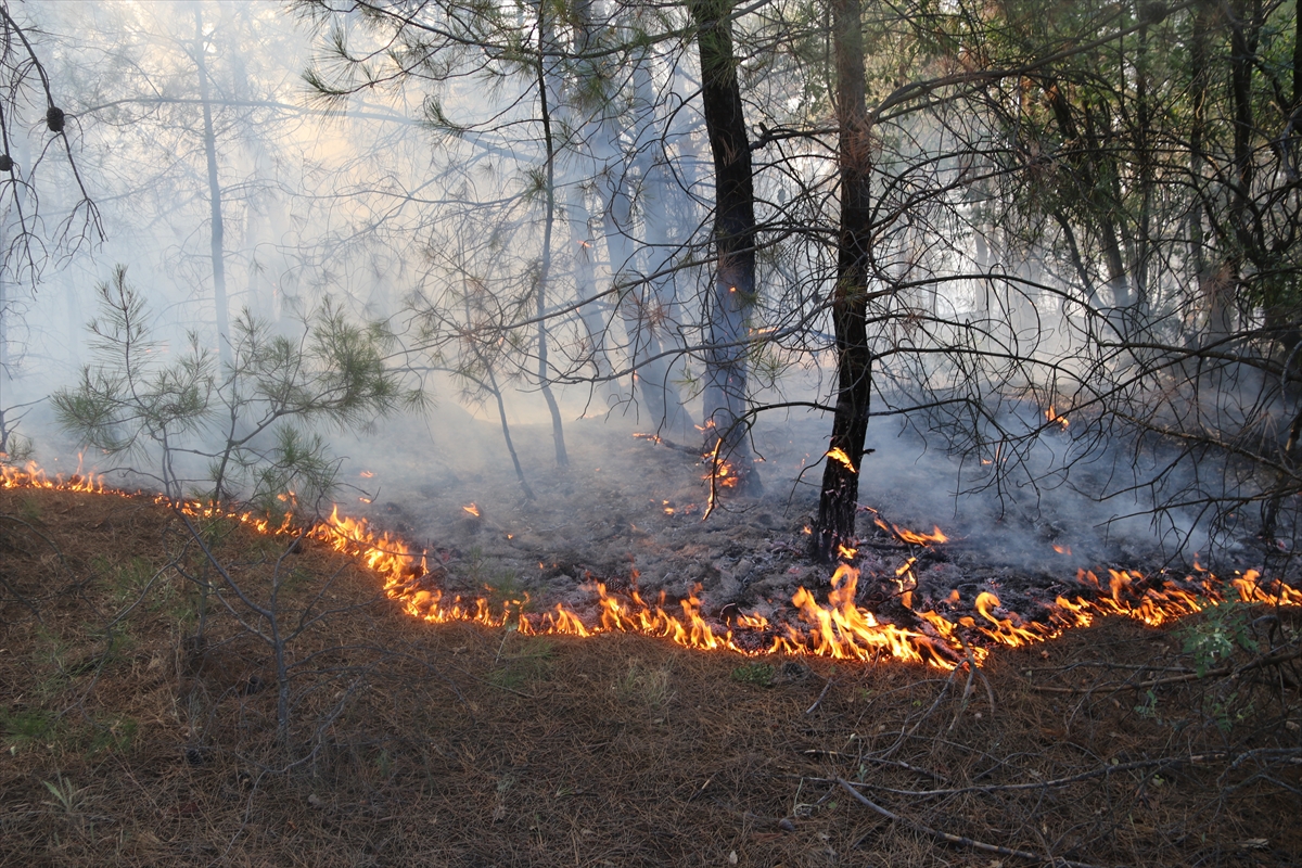 Amasya’da çıkan orman yangını söndürüldü