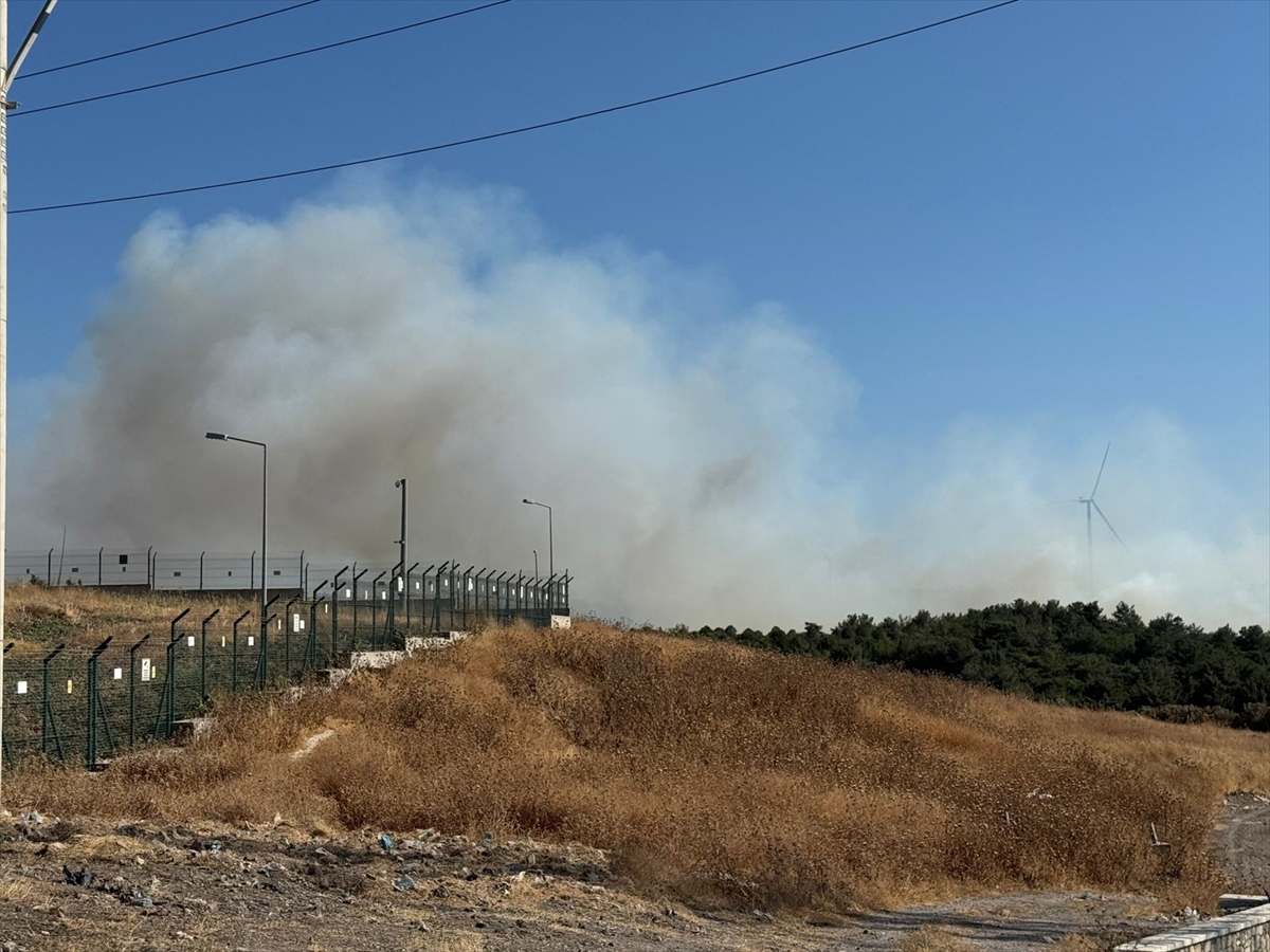 İzmir'in Urla ilçesinde çıkan orman yangınına müdahale ediliyor