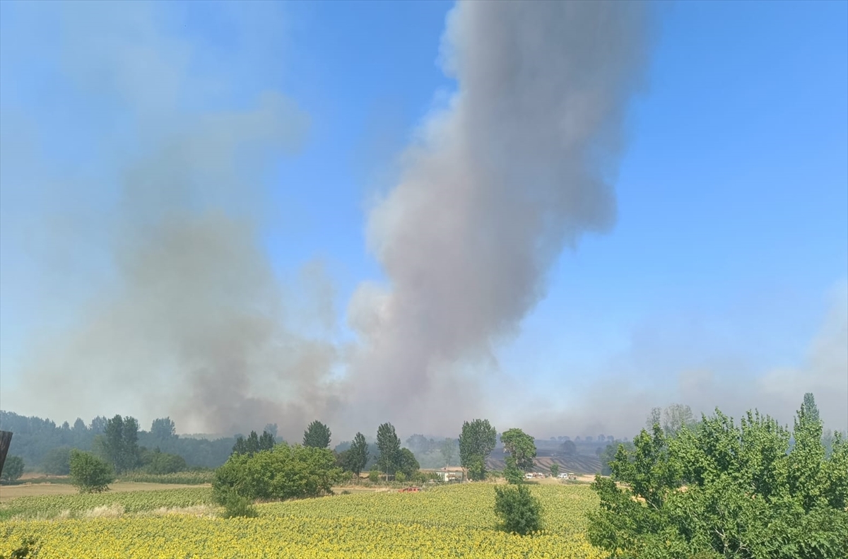 Edirne'de çıkan orman yangını söndürüldü