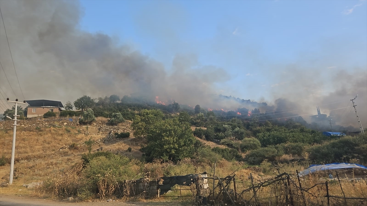 Aydın'da tarım alanında çıkan yangın kontrol altına alındı