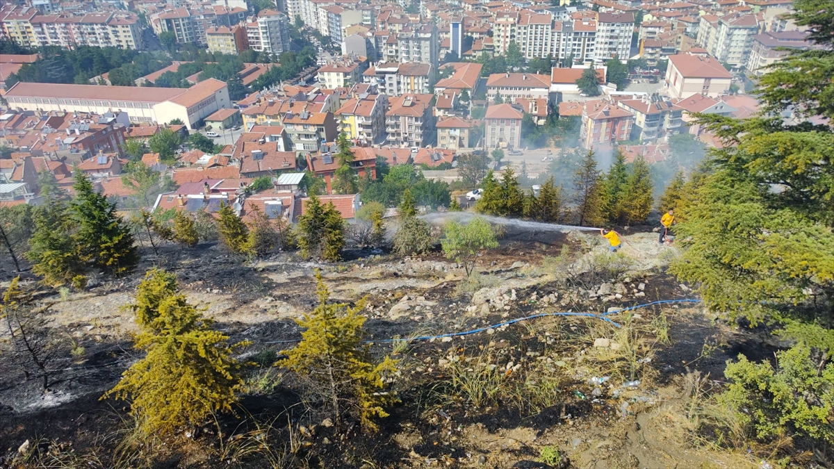 Afyonkarahisar'da ağaçlık alanda çıkan yangın söndürüldü