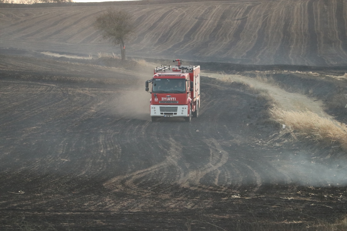Tekirdağ'da çıkan anız yangınında 2 bin 500 dekar alan zarar gördü