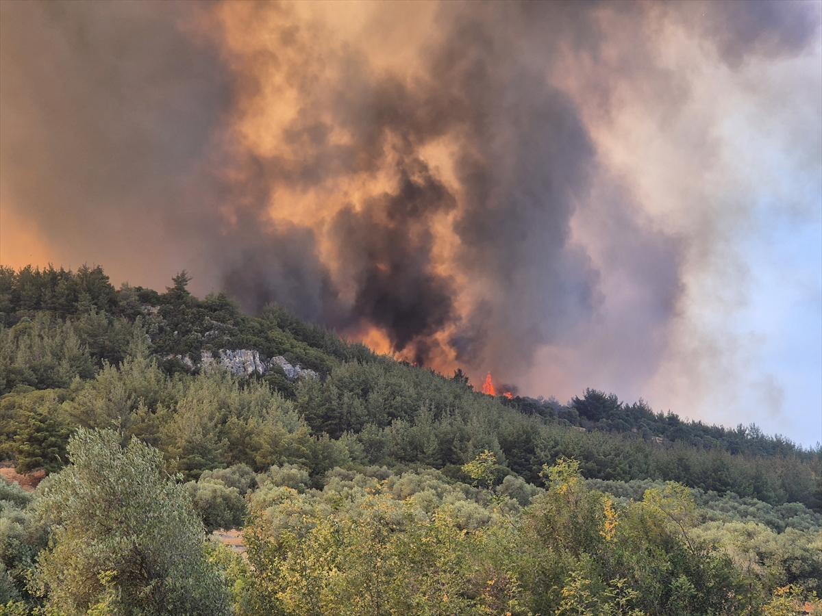 Manisa'da çıkan 2 orman yangınından biri kontrol altına alındı, diğerine müdahale sürüyor