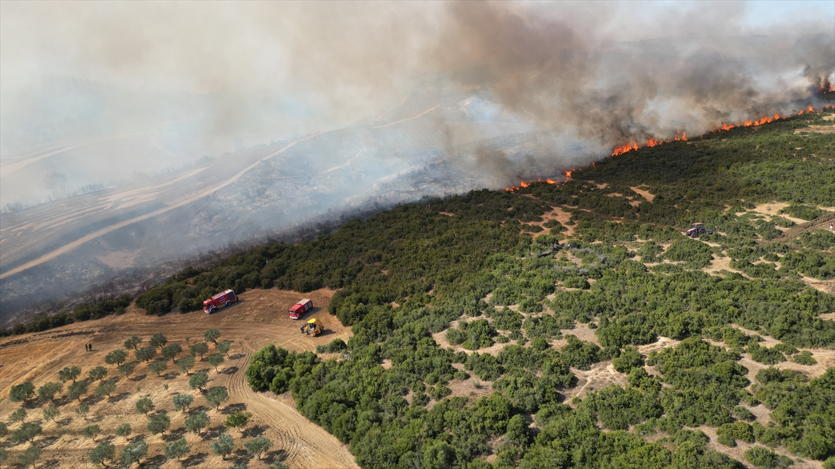 Tekirdağ'da anız yangını ormana sıçradı