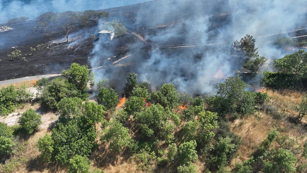 Tekirdağ'da çıkan anız yangını söndürüldü