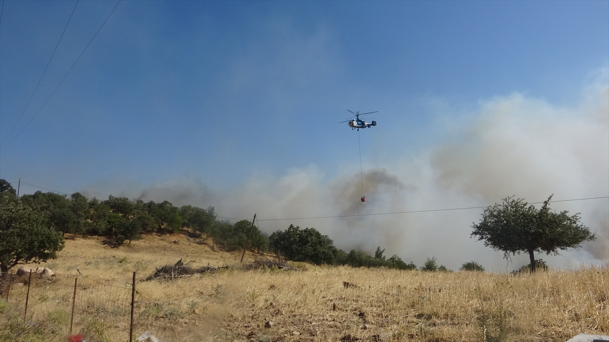 Çanakkale'de çıkan orman yangınına müdahale ediliyor