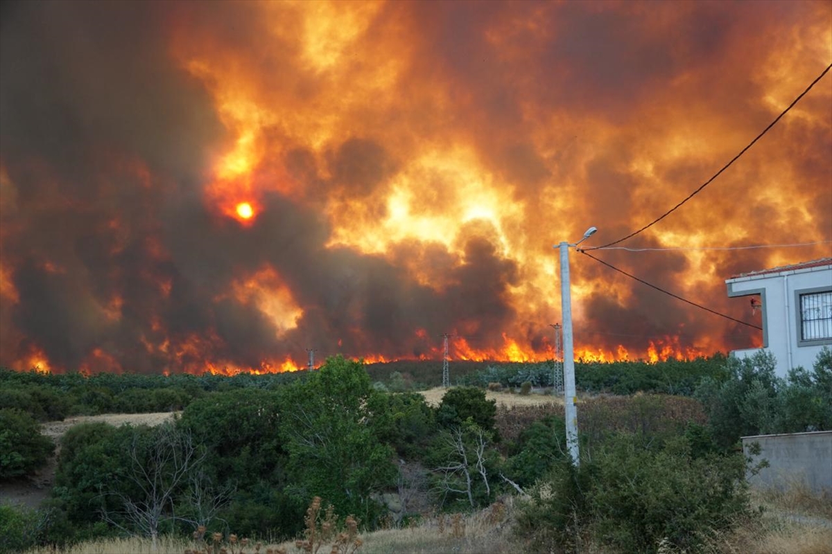 Tekirdağ'da anız yangını ormana sıçradı