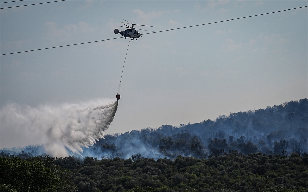 Bursa'da çıkan orman yangını kontrol altına alındı