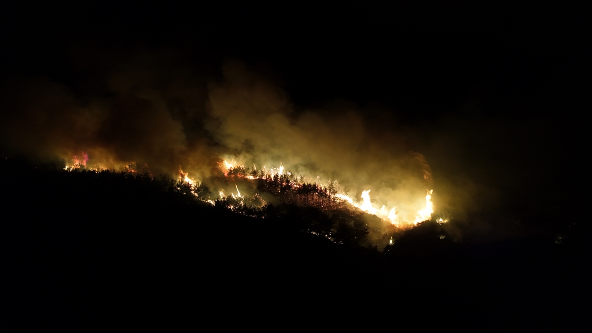 Tekirdağ'da çıkan orman yangını geniş alana yayıldı