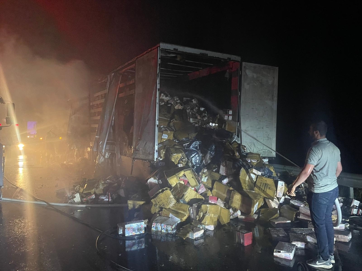 Erzincan'da kumaş ve kozmetik yüklü tır seyir halindeyken alev aldı
