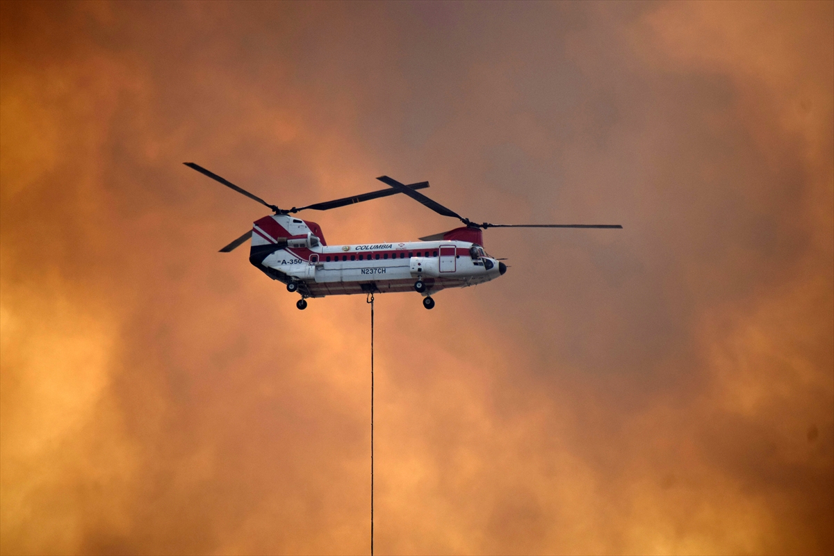 Manisa'nın Saruhanlı ilçesinde çıkan orman yangını kontrol altına alındı
