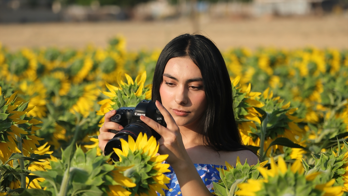 Karaman'da sarıya bürünen ayçiçeği tarlaları, fotoğraf tutkunlarını ağırlıyor