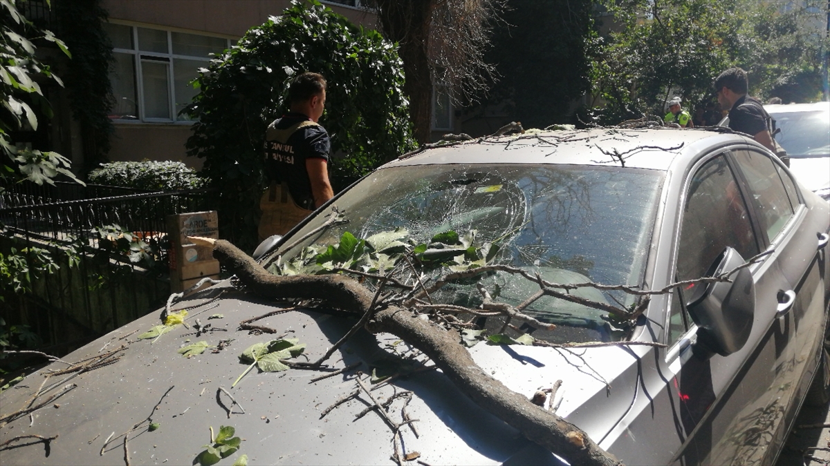 Şişli'de ağaçtan kopan dallar park halindeki otomobile zarar verdi