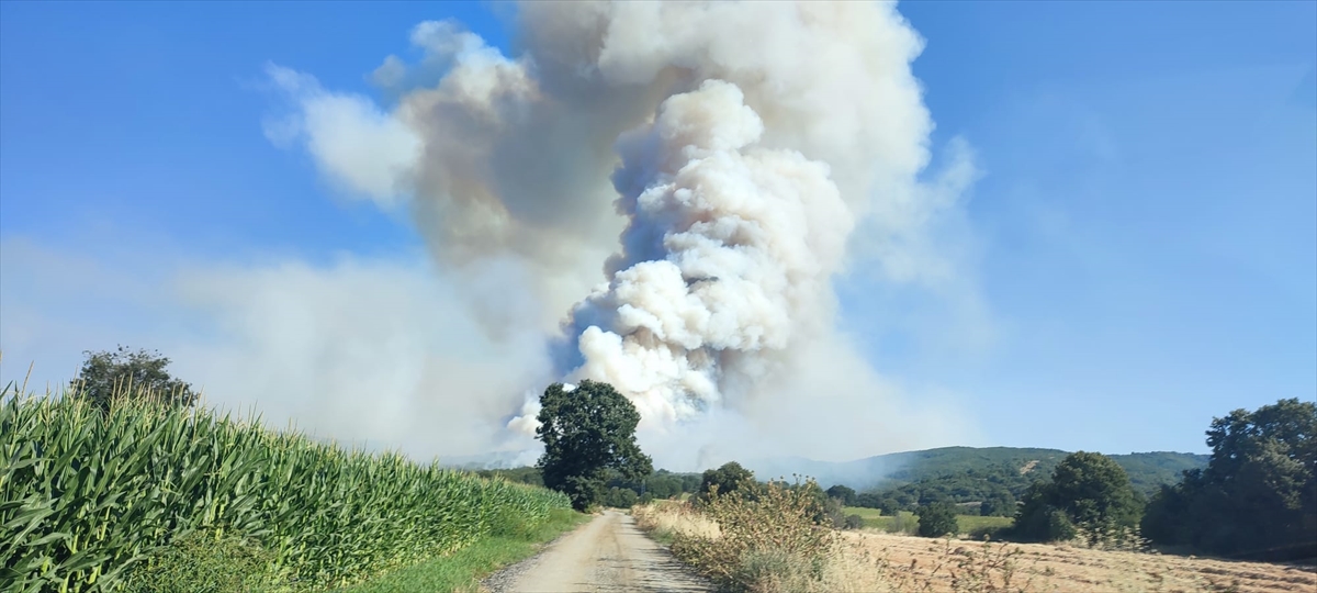 Bilecik'te anızda başlayıp ormana sıçrayan yangına müdahale ediliyor