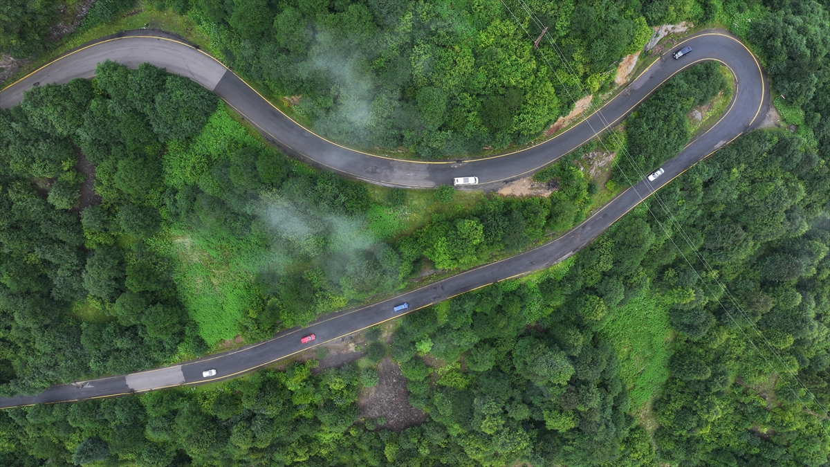 Trabzon'un "Hıdırnebi Yaylası" sis altındaki güzelliğiyle ziyaretçilerini karşılıyor