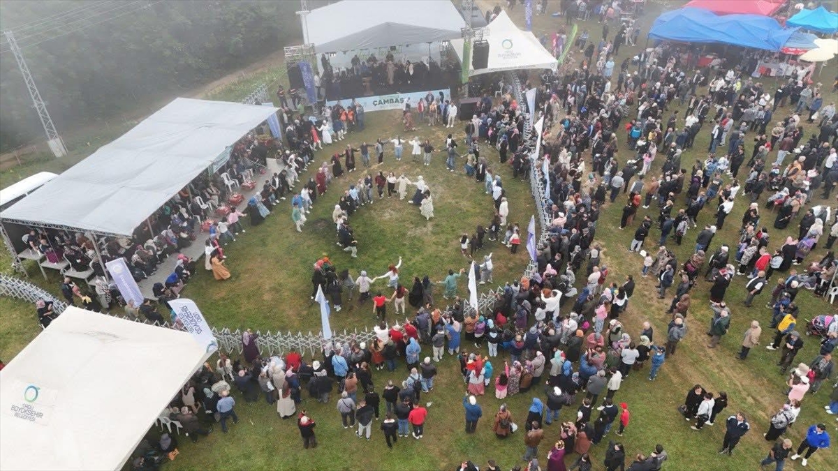 Ordu'da "22. Geleneksel Çambaşı Yayla Festivali" sona erdi