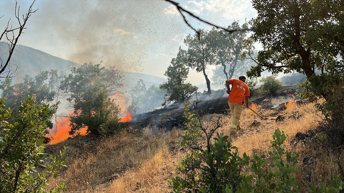 Bingöl'de çıkan orman yangınları söndürüldü