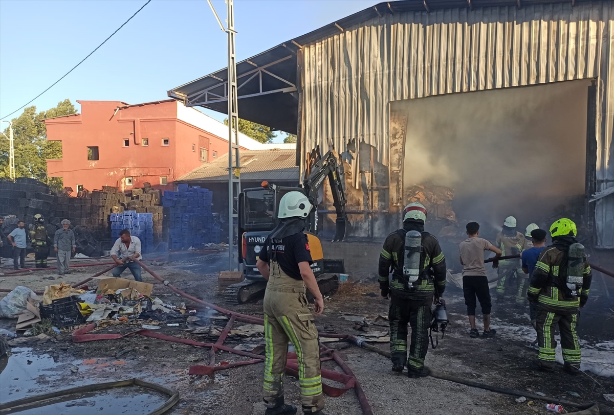 Bursa'da meyve sebze paketleme tesisinde çıkan yangın söndürüldü