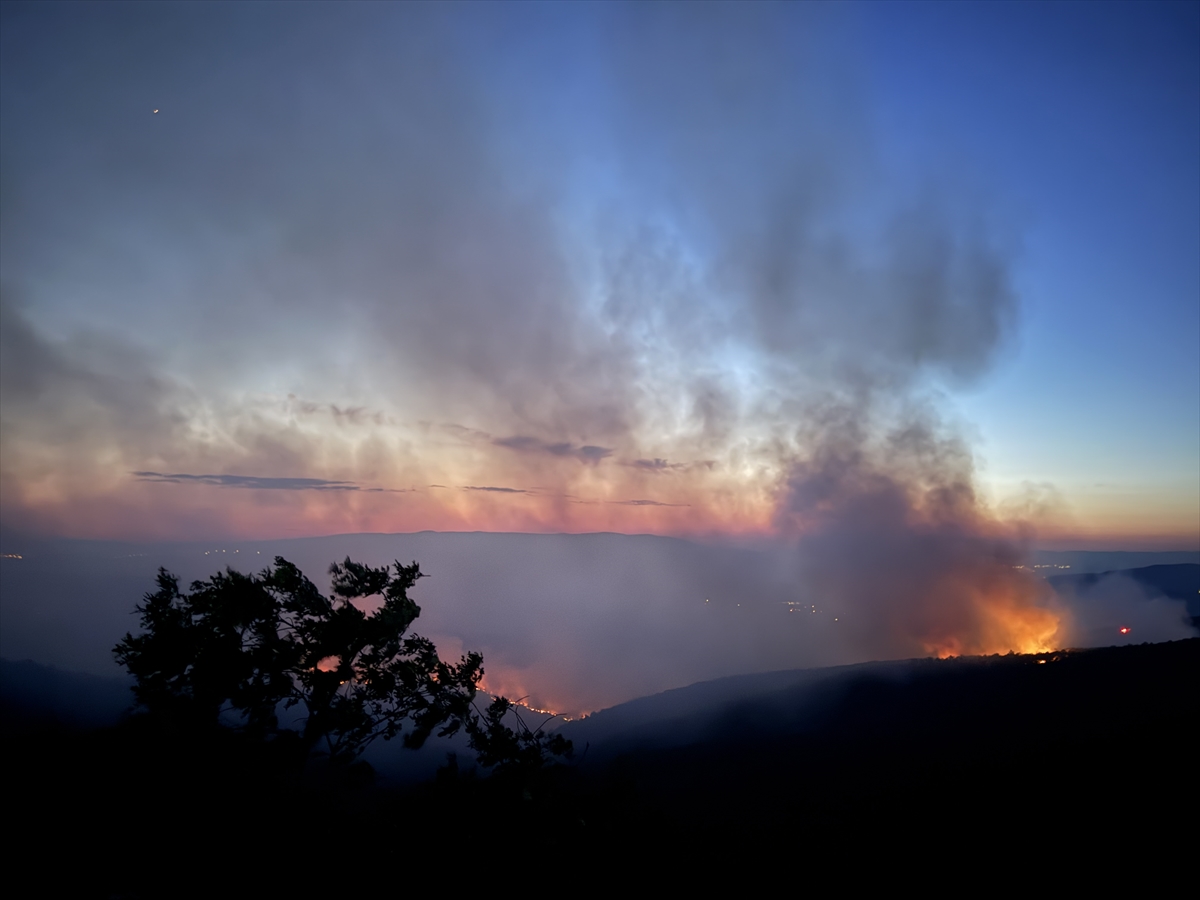 Bilecik'te anızda başlayıp ormana sıçrayan yangına müdahale ediliyor