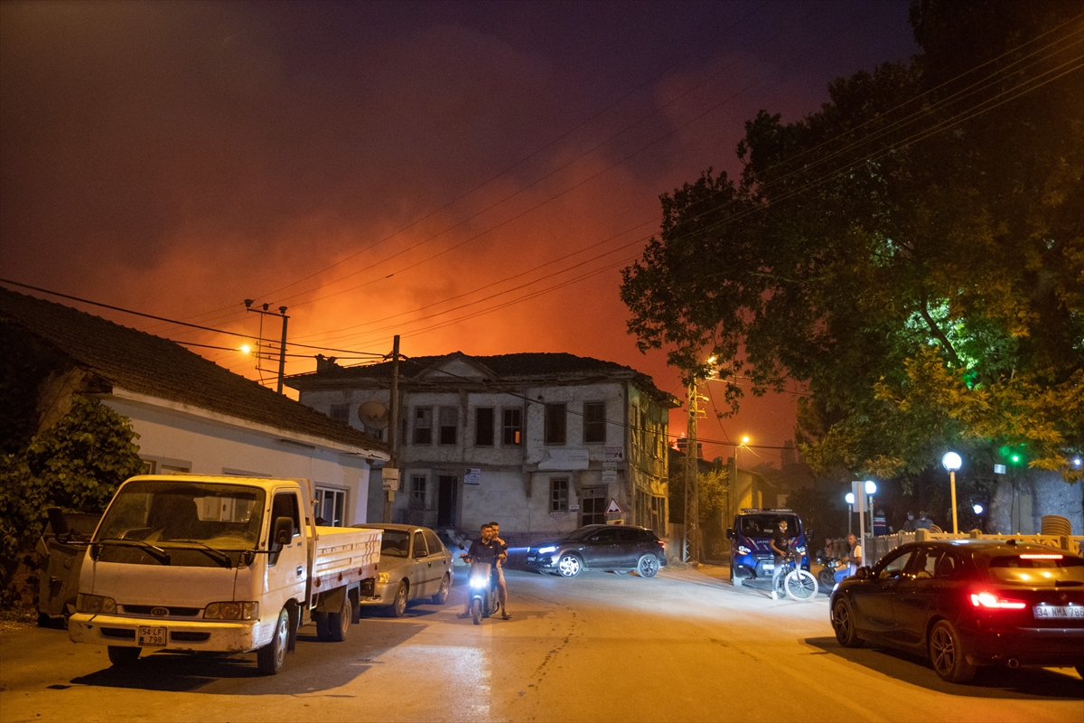 Sakarya'da ormanlık alanda çıkan yangına müdahale ediliyor