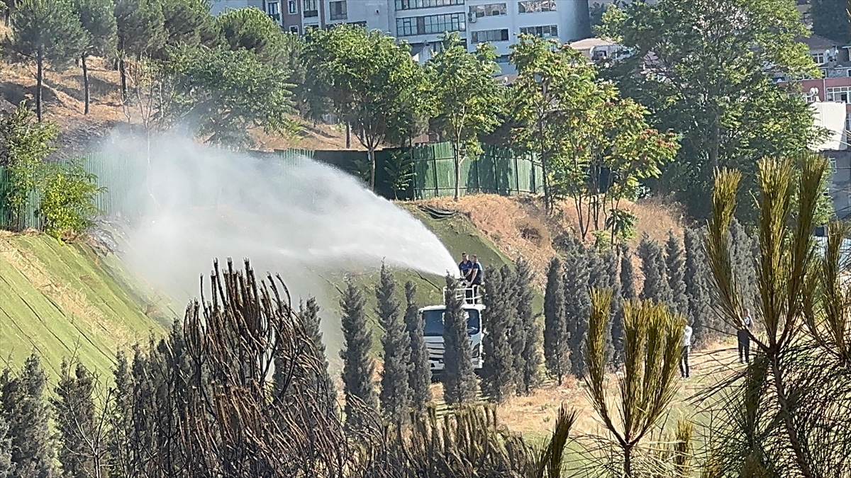 Kağıthane'de ağaçlık alanda çıkan yangın söndürüldü