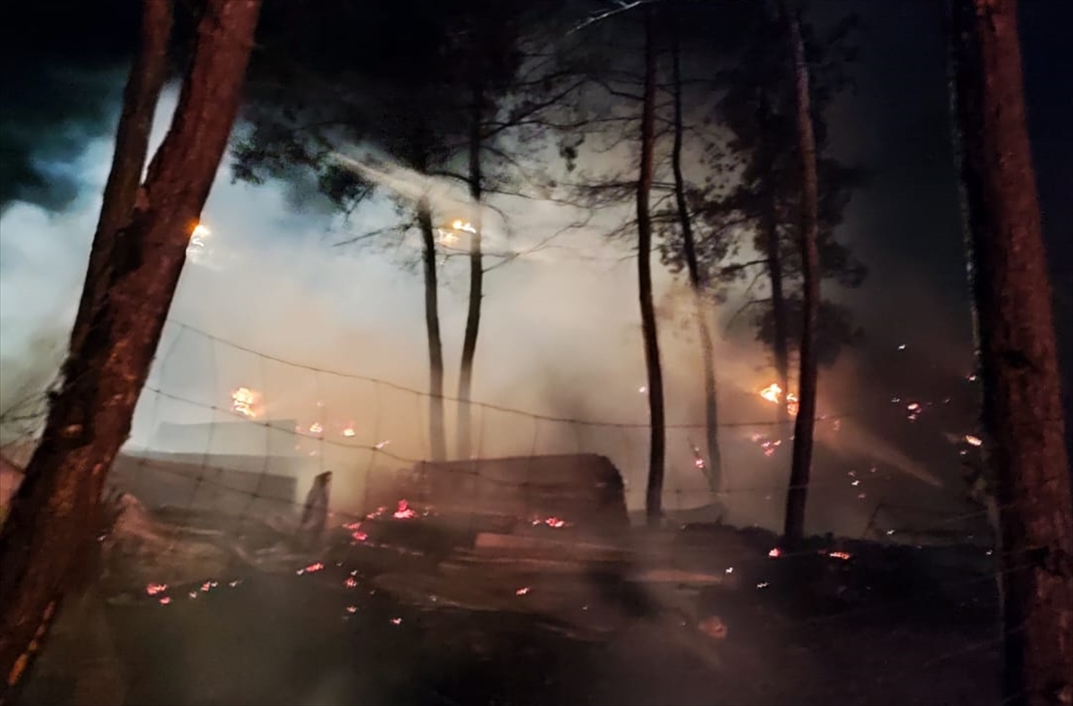 Bilecik'te çiftlikte başlayıp ormanlık alana sıçrayan yangına müdahale ediliyor