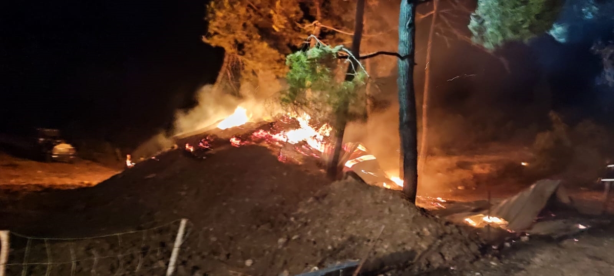 Bilecik'te çiftlikte başlayıp ormanlık alana sıçrayan yangın kontrol altına alındı