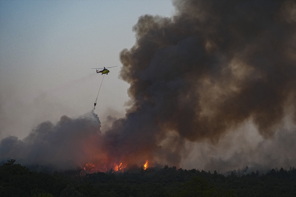 İzmir'de çıkan orman yangınına müdahale ediliyor