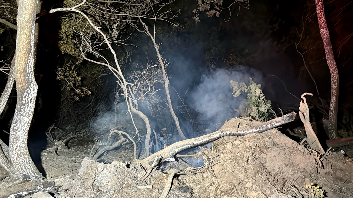 Kocaeli'de ormanlık alanda çıkan yangın kontrol altına alındı