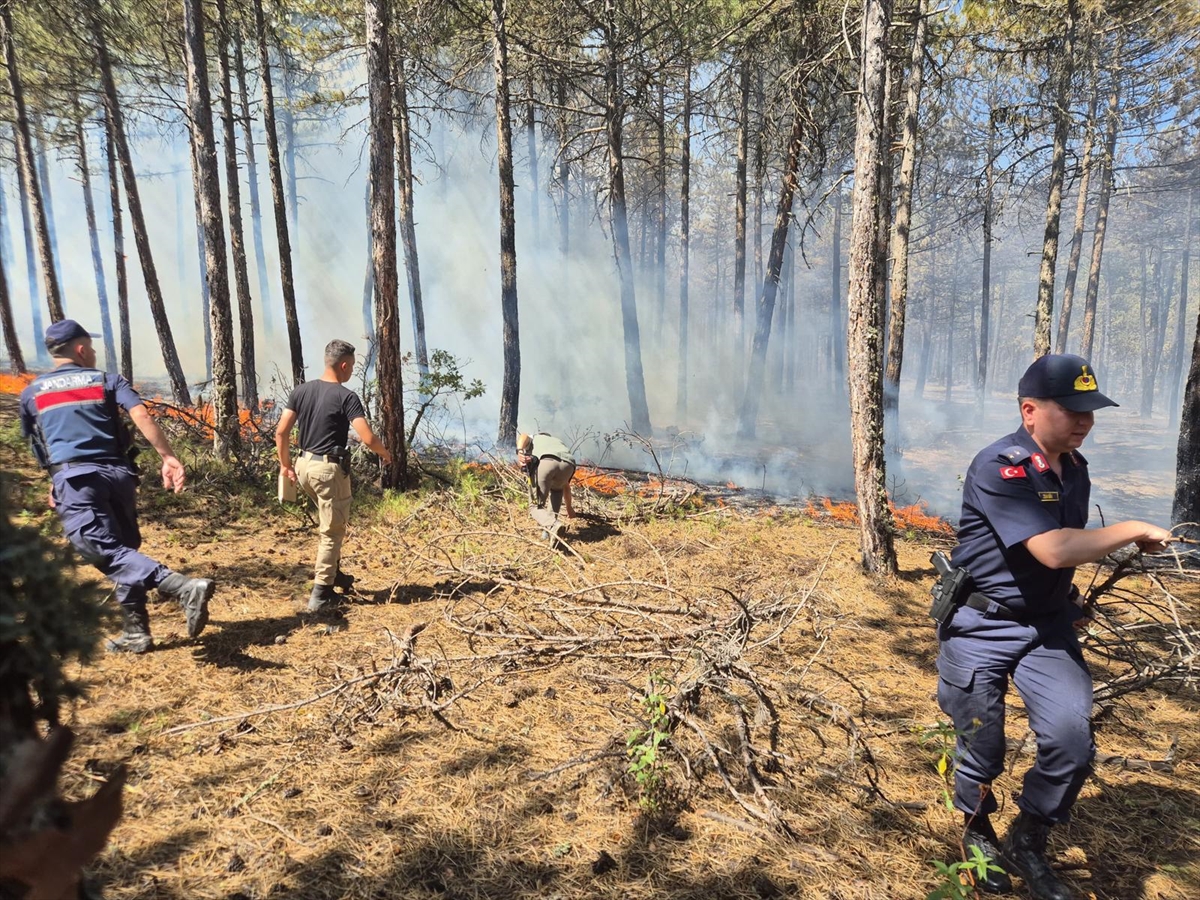 Eskişehir'de ormanlık alanda çıkan yangına müdahale sürüyor