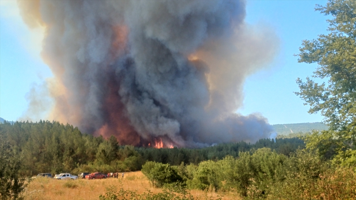 Karabük'te ormanlık alanda çıkan yangına müdahale ediliyor