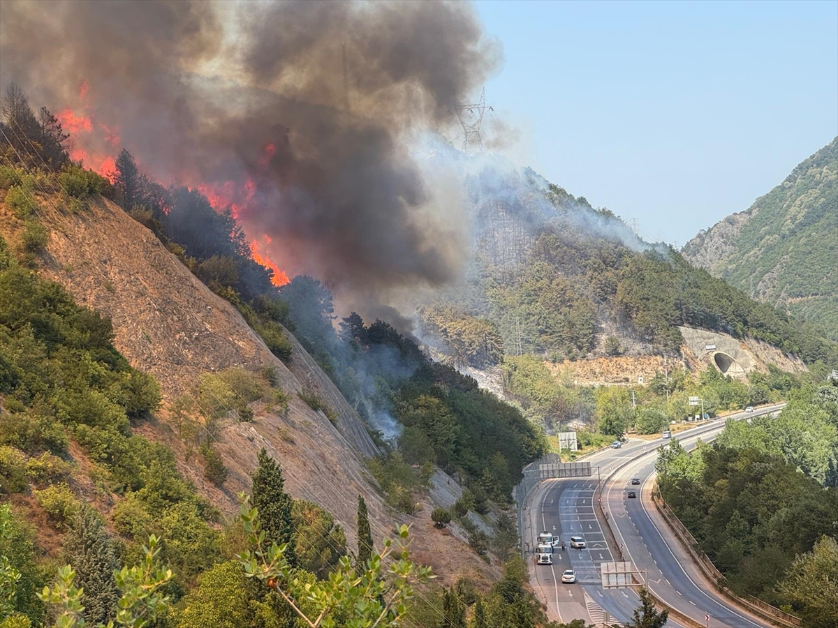 Sakarya'da ormanlık alanda çıkan yangına müdahale ediliyor