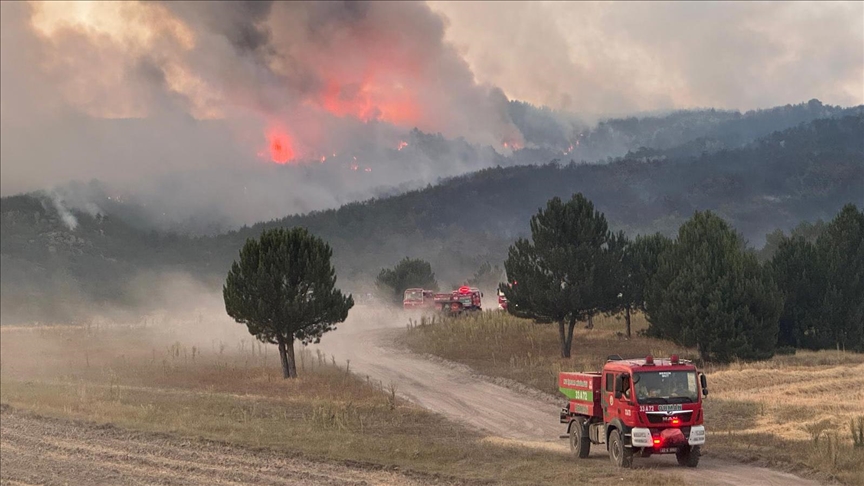 Bakanlardan Eskişehir'deki orman yangını şehitleri için başsağlığı mesajı