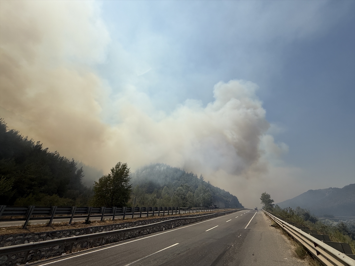 Sakarya'dan Bilecik tarafına sıçrayan orman yangınına 4. gününde müdahale devam ediyor