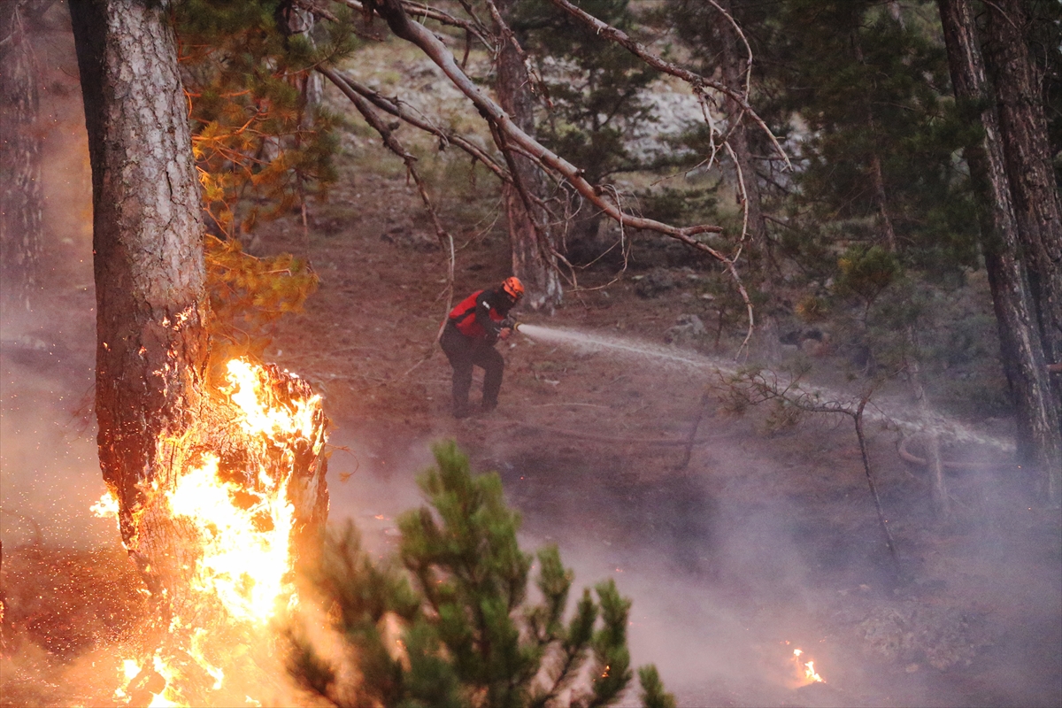 Alanya’da çıkan ikinci orman yangını söndürüldü