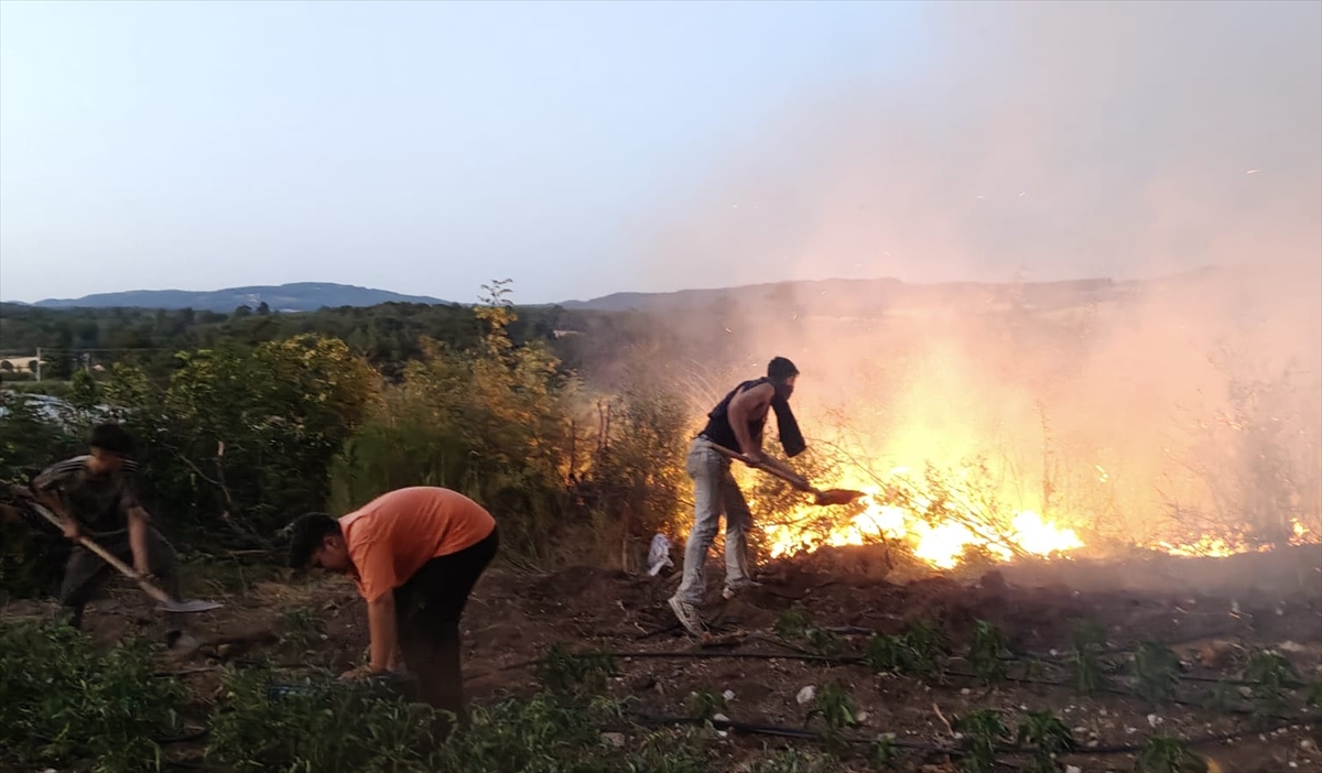 Balıkesir'de tavuk çiftliğinde başlayan ve ormanlık alana sıçrayan yangın kontrol altına alındı